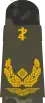 Generalarzt(dental medicine)