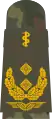 General­stabsarzt (hum. med.)