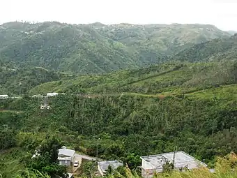 View of La Cordillera Central behind Gato