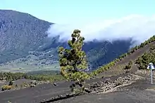Dissolving clouds from Foehn wind over the Cumbre Nueva in El Paso, La Palma, Canary Island