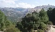 Panoramic view of La Pedriza.