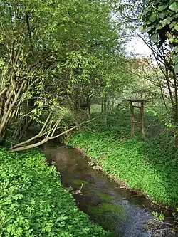 Kandelbach in Ladenburg