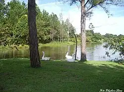 A lake in Formoso do Araguaia