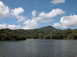 Lago Patillas