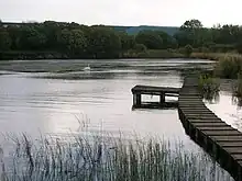 The south end of the loch