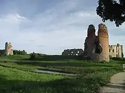 Ruins of Laiuse Castle in Laiusevälja.