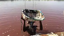 worker is digging the salt in the lake