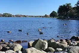 Lake Rotoroa