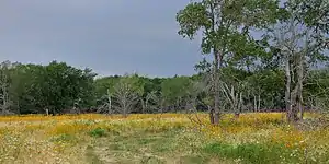 Lake Somerville State Park. Lee County, (May 2017).