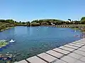 Pond in Green Point Park.