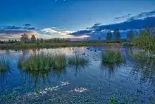 The man made lakes at Lakeside Park