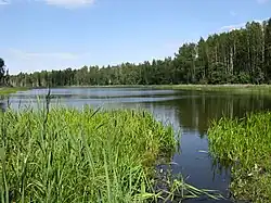 Lake Vasula in Lombi