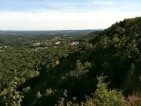 Vista with greenery