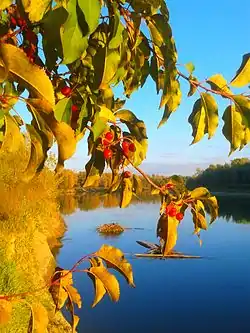 Landscape in Ust Kalmansky District