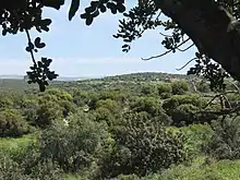 General landscape of the Adullam-France Park