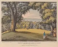 "View of the botanic garden in St Vincent", from "An account of the botanic garden in the island of St Vincent, from its first establishment to the present time" by Lansdown Guilding. Glasgow: Richard Griffin & Company, 1825