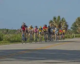 Large biking group on Lighthouse Road