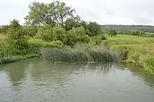 Wytham Ditches and Flushes