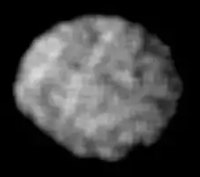 An irregularly shaped grey object slightly elongated horizontally occupies almost the whole image. Its surface shows a number of dark and white spots.