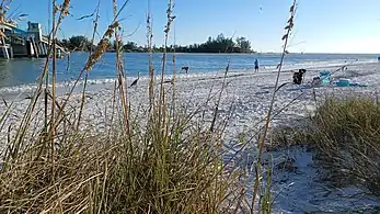 Late afternoon on Coquina Beach (Longboat Pass) looking Southwest