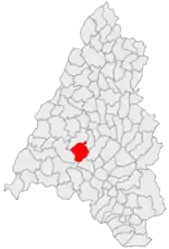 Location in Bihor County