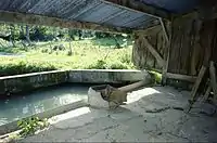 The Lavoir (washing place) of "La Vieville"