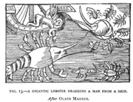 Giant lobster snatches man aboard ship, after Olaus Magnus.