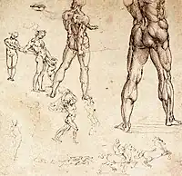 Study of male anatomy, by Leonardo da Vinci