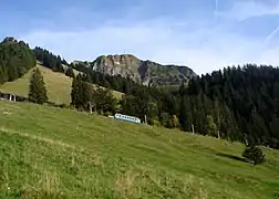 A train ascending the mountain.