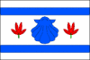 Flag of Lesnice