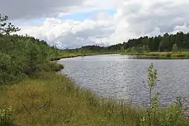 Lielais Peterezers, lake in Kolka parish, near the Sīkrags hamlet on the western coast of the Courland Peninsula.