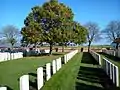 cemetery view