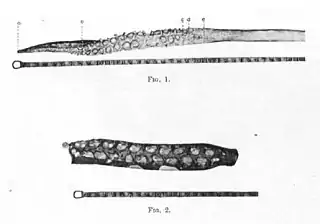 #109 (?/12/1933)Tentacular club (fig. 1) and basal portion of the arm (fig. 2) of the Dildo specimen, from Frost (1934:114 & pl. 2)