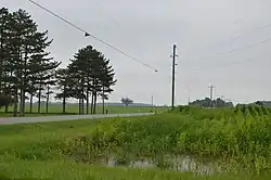 Cornfield along the Lincoln Highway