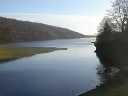 Image of a lake surrounded by trees