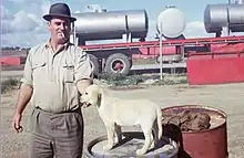 Australian trucker Lindsay Booth, early 1950s.