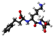 Ball-and-stick model of the lisinopril zwitterion