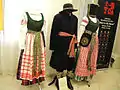 Examples of folk costumes from Lithuania Minor. Dalmonas is shown as a part of woman's costume