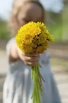 little girl holding out yellow flowers, as if to give them to someone else