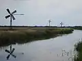 Little windmills in Haren.