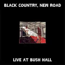 A black background with a finished jigsaw of Bush Hall in the centre, with the text "Black Country, New Road" at the top and "Live at Bush Hall" at the bottom (in all caps).