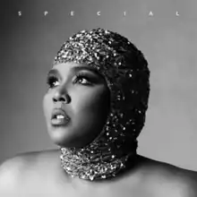 The cover for the 2022 Lizzo album Special shows the artist wearing nothing but a sequined head garment; the entire image is in gray scale with SPECIAL written out in large white capital letters