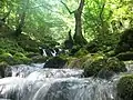 Lještanica river near Bijelo Polje