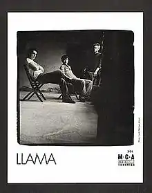 Llama