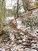 Path sloping up hill through trees. The path includes stone blocks that once supported iron rails.