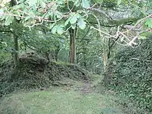 Overgrown ruins of Llangynwyd Castle