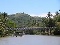 Loboc River Cruise