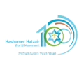 This is the logo of the 100th anniversary of Hashomer Hatzair (2013)