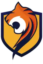 Logo of the esports team SEM9