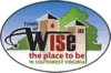 Official logo of Wise